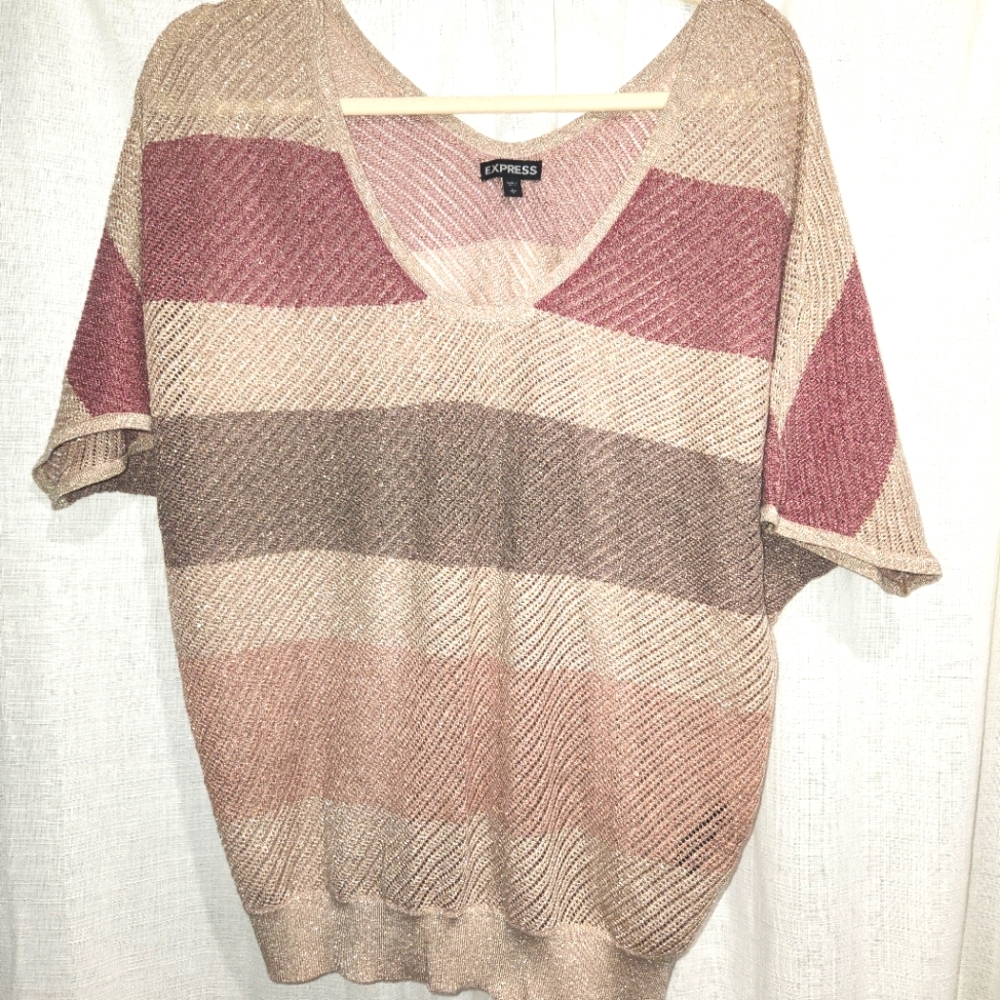Express L lurex Dolman sleeve sweater top.